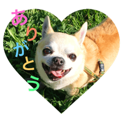 [LINEスタンプ] りぃといっせー