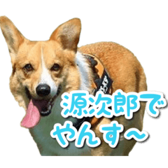 [LINEスタンプ] 源次郎セリフスタンプ
