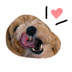 [LINEスタンプ] アロンのスタンプ♡