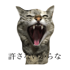 [LINEスタンプ] ぱとらのスタンプ