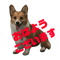[LINEスタンプ] 我が家のワンファミ2