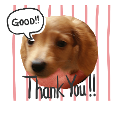 [LINEスタンプ] 城井さくらのスタンプ