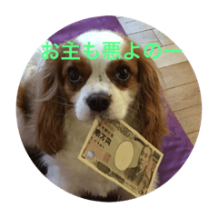 [LINEスタンプ] キャバリアのれいちゃん