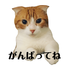[LINEスタンプ] おもちスタンプズ2