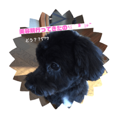 [LINEスタンプ] べいくんスタンプ