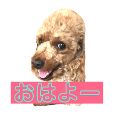 [LINEスタンプ] そらさんさん