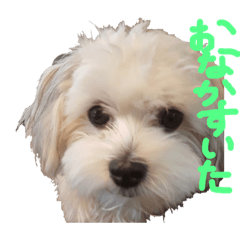 [LINEスタンプ] ももすたんぴー