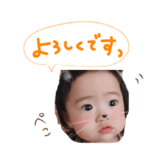 [LINEスタンプ] みやひなここまる