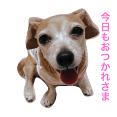 [LINEスタンプ] チワックスの心 vol.1