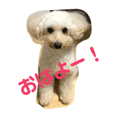 [LINEスタンプ] メイとキキ