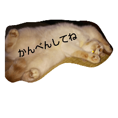 [LINEスタンプ] ぼんじゅる
