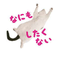 [LINEスタンプ] とにかく明るい奏さん