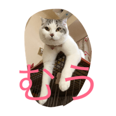 [LINEスタンプ] コジロウ
