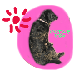 [LINEスタンプ] 金太郎の日常