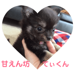 [LINEスタンプ] ティナくん