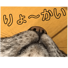 [LINEスタンプ] じょーくんらぶ