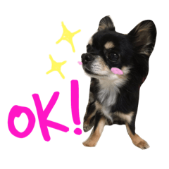 [LINEスタンプ] みゅうとんとりんたん