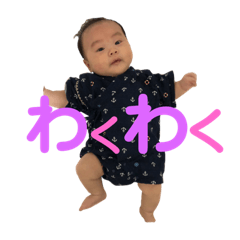 [LINEスタンプ] うちのかいとストンプ