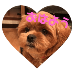 [LINEスタンプ] KINACO0306