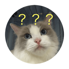 [LINEスタンプ] ゆきスタンプ！パートわん