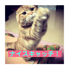 [LINEスタンプ] ルフナさん