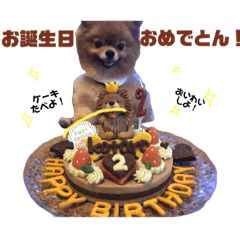 [LINEスタンプ] こちゃん②
