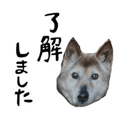 [LINEスタンプ] いけださんち2