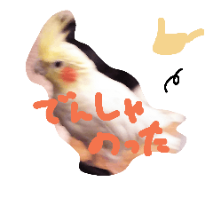 [LINEスタンプ] はこいりラブ