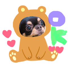 [LINEスタンプ] Moriya’s dog ＆cat3