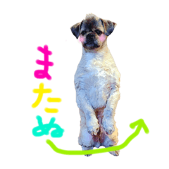 [LINEスタンプ] ぬーく4