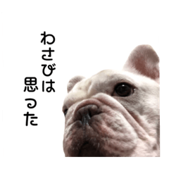 [LINEスタンプ] フレブルのぽっちゃりわさび