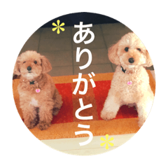 [LINEスタンプ] ひーちゃんとさっく2