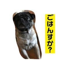 [LINEスタンプ] あず、のりスタンプ1