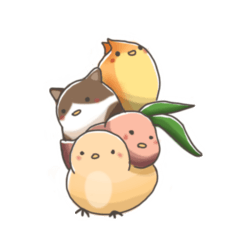 [LINEスタンプ] ちゅうちゃん図鑑