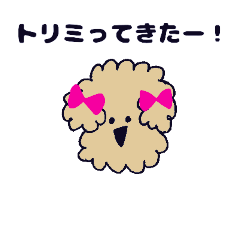 [LINEスタンプ] ゆるめなトイプー