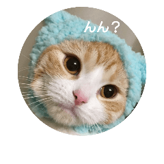 [LINEスタンプ] べびにゃん
