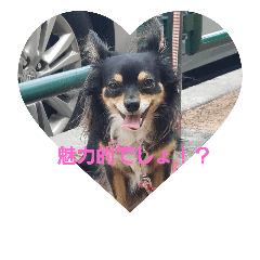 [LINEスタンプ] リラ、ホクミ