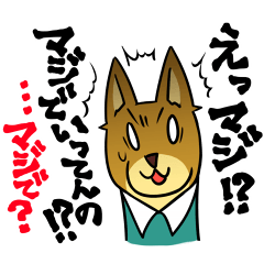 [LINEスタンプ] はこにわペットスタンプの画像（メイン）