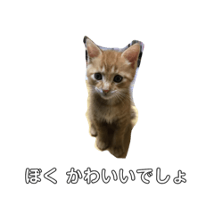 [LINEスタンプ] まめちゃり