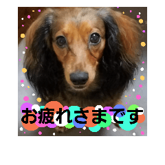 [LINEスタンプ] Calynの一日2
