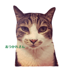 [LINEスタンプ] くろむぎゆきぽん