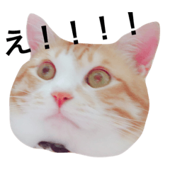 [LINEスタンプ] れんたんの日常