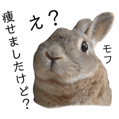 [LINEスタンプ] ぼくはうさぎ 2