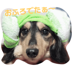 [LINEスタンプ] もか☆日常生活