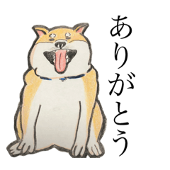 [LINEスタンプ] 進め！柴犬さん！