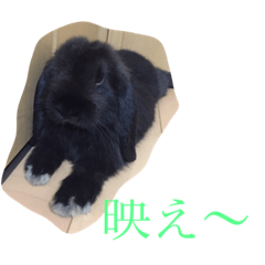 [LINEスタンプ] モコモ
