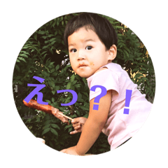[LINEスタンプ] ほたここすたんぷ
