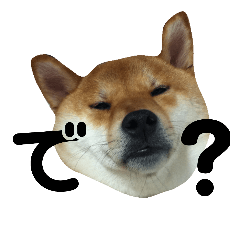 [LINEスタンプ] 柴犬ぽこ太 ぶさいくスタンプ集