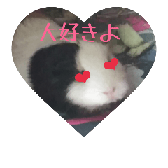 [LINEスタンプ] モルモットのモモ2
