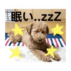 [LINEスタンプ] はしもと こてつ。